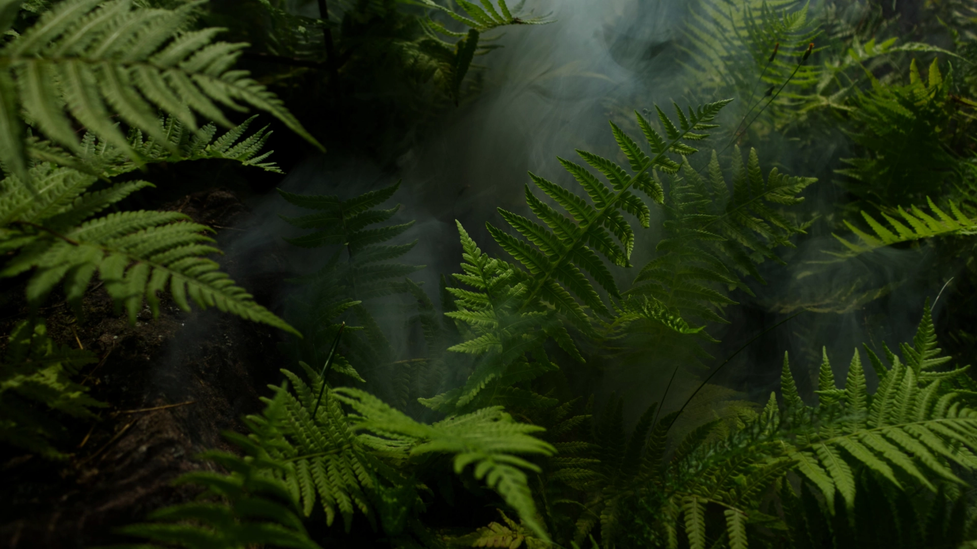 bg-project